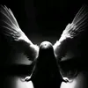user8600347398279