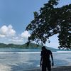 anaknyapetanii