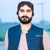 babul.bolani