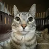 gustavolim93