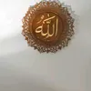 anq_n7