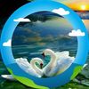 user6297518081377