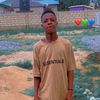 elvis_upg