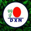 .dxn0799