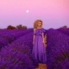 lavender_781