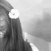 maayan_spamm16