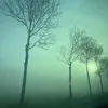 vindvattenvin