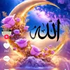 asel.asel3810