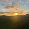 alicebulfin4