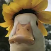 ad_pato1