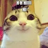 alskjdhfgh