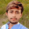 irfanalimb