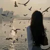 sgroopomq8g