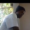 darwin_robin