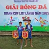 aicxboanhmadi3