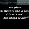 chalani.madushika1
