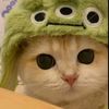 user_auni5