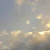 exnxorxh_cvbjxsxx