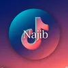 laghdaibi