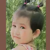 thaya.phi49