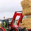 farmerkinggeorge