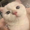 sanrio_.com12