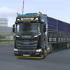 FS20🇹🇷