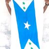 mahdi.abdulaahi.a