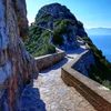 amineberbere1