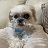 mimi3754
