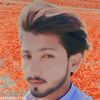 user4829056019279