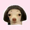 anhduongcutiii16