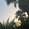 daryazeraatpisheh