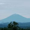 mekijanuari