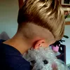 pdr_drawanz