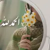 omnoor4734