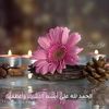 mery.allal