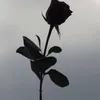 ibet_youcandoit
