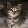 waaaaaa5866