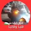 mohamed.elmoussat