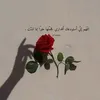 lamyaa.fadel