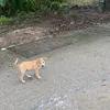 mxmoxixi