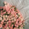 haneen_ahom
