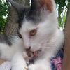 maria_a_tmba