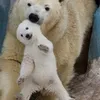 nguyntunquyn3