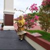 rusni.us