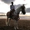 el.mehdi214