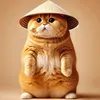 meocamai