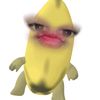 tm_amayy