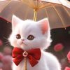 mouna4437